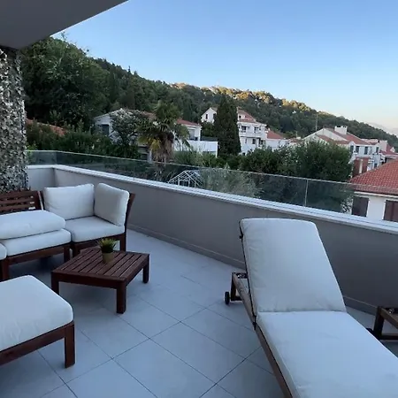 Splendid View