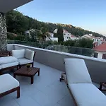 Splendid View